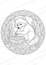 Waschbär Mandalas Ausmalbilder – Tiere – 15 Malvorlagen – Materialseite 8
