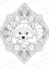 Waschbär Mandalas Ausmalbilder – Tiere – 15 Malvorlagen – Materialseite 11