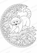 Waschbär Mandalas Ausmalbilder – Tiere – 15 Malvorlagen – Materialseite 12