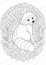 Waschbär Mandalas Ausmalbilder – Tiere – 15 Malvorlagen – Materialseite 13