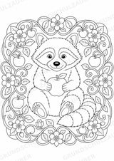 Waschbär Mandalas Ausmalbilder – Tiere – 15 Malvorlagen – Materialseite 14