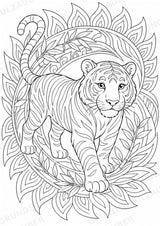 Zootiere Mandalas Ausmalbilder – Tiere – 15 Malvorlagen – Materialseite 12