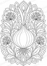 Zwiebel Mandalas Ausmalbilder – Gemüse – 15 Malvorlagen – Materialseite 2