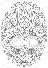 Zwiebel Mandalas Ausmalbilder – Gemüse – 15 Malvorlagen – Materialseite 6