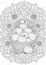 Zwiebel Mandalas Ausmalbilder – Gemüse – 15 Malvorlagen – Materialseite 7