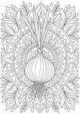 Zwiebel Mandalas Ausmalbilder – Gemüse – 15 Malvorlagen – Materialseite 9