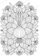 Zwiebel Mandalas Ausmalbilder – Gemüse – 15 Malvorlagen – Materialseite 12