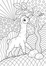 Alpaka POP Art Ausmalbilder 15 Malvorlagen – Materialseite 7