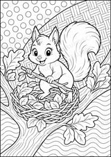 Eichhörnchen POP Art Ausmalbilder 15 Malvorlagen – Materialseite 9