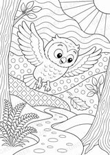 Eule POP Art Ausmalbilder 15 Malvorlagen – Materialseite 2