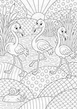 Flamingo POP Art Ausmalbilder 15 Malvorlagen – Materialseite 9