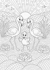 Flamingo POP Art Ausmalbilder 15 Malvorlagen – Materialseite 16
