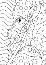 Frosch POP Art Ausmalbilder 15 Malvorlagen – Materialseite 4
