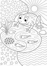 Frosch POP Art Ausmalbilder 15 Malvorlagen – Materialseite 8