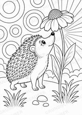 Igel POP Art Ausmalbilder 15 Malvorlagen – Materialseite 13