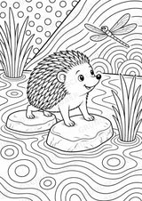 Igel POP Art Ausmalbilder 15 Malvorlagen – Materialseite 16