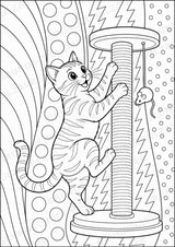 Katze POP Art Ausmalbilder 15 Malvorlagen – Materialseite 7