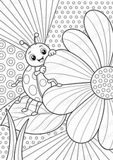 Marienkäfer POP Art Ausmalbilder 15 Malvorlagen – Materialseite 8