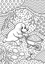 Maulwurf POP Art Ausmalbilder 15 Malvorlagen – Materialseite 16