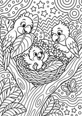 Papagei POP Art Ausmalbilder 15 Malvorlagen – Materialseite 6