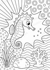 Seepferdchen POP Art Ausmalbilder 15 Malvorlagen – Materialseite 15