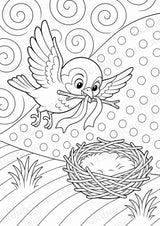 Vogel POP Art Ausmalbilder 15 Malvorlagen – Materialseite 8