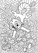 Waschbär POP Art Ausmalbilder 15 Malvorlagen – Materialseite 4