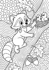 Waschbär POP Art Ausmalbilder 15 Malvorlagen – Materialseite 5