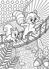 Waschbär POP Art Ausmalbilder 15 Malvorlagen – Materialseite 7