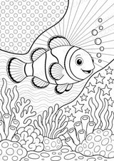 Fische POP Art Ausmalbilder 15 Malvorlagen – Materialseite 2