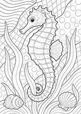 Fische POP Art Ausmalbilder 15 Malvorlagen – Materialseite 4