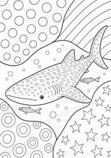 Fische POP Art Ausmalbilder 15 Malvorlagen – Materialseite 12