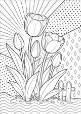 Frühblüher POP Art Ausmalbilder 15 Malvorlagen – Materialseite 7