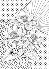 Frühblüher POP Art Ausmalbilder 15 Malvorlagen – Materialseite 9