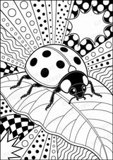 Insekten POP Art Ausmalbilder 15 Malvorlagen – Materialseite 3