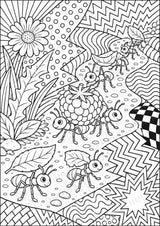 Insekten POP Art Ausmalbilder 15 Malvorlagen – Materialseite 6
