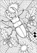 Insekten POP Art Ausmalbilder 15 Malvorlagen – Materialseite 8
