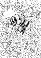 Insekten POP Art Ausmalbilder 15 Malvorlagen – Materialseite 12