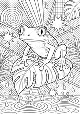 Regenwald POP Art Ausmalbilder 15 Malvorlagen – Materialseite 7