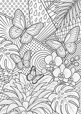Regenwald POP Art Ausmalbilder 15 Malvorlagen – Materialseite 10