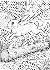 Waldtiere POP Art Ausmalbilder 15 Malvorlagen – Materialseite 9