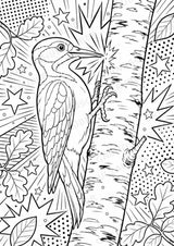Waldtiere POP Art Ausmalbilder 15 Malvorlagen – Materialseite 10