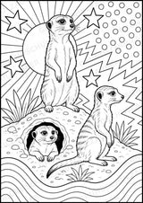Zootiere POP Art Ausmalbilder 15 Malvorlagen – Materialseite 14