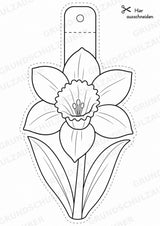 Frühblüher – Fensterdeko – Basteln – Ausmalbild – Ausschneiden – 15 Vorlagen – Materialseite 4