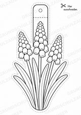 Frühblüher – Fensterdeko – Basteln – Ausmalbild – Ausschneiden – 15 Vorlagen – Materialseite 9