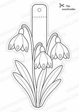 Frühblüher – Fensterdeko – Basteln – Ausmalbild – Ausschneiden – 15 Vorlagen – Materialseite 12