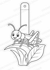 Insekten – Fensterdeko – Basteln – Ausmalbild – Ausschneiden – 15 Vorlagen – Materialseite 13