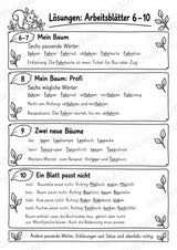 Wortfamilien-Baum: Wortstämme üben | 18 Arbeitsblätter & Klassenplakat | Deutsch Klasse 2–3 | 3-Fach Differenzierung – Materialseite 35