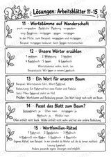 Wortfamilien-Baum: Wortstämme üben | 18 Arbeitsblätter & Klassenplakat | Deutsch Klasse 2–3 | 3-Fach Differenzierung – Materialseite 36