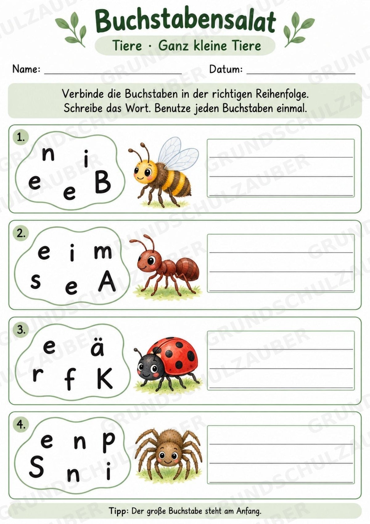Buchstabensalat Tiere | Wörter bilden & Buchstaben ordnen | 5 Arbeitsblätter Deutsch Grundschul – Materialseite 6